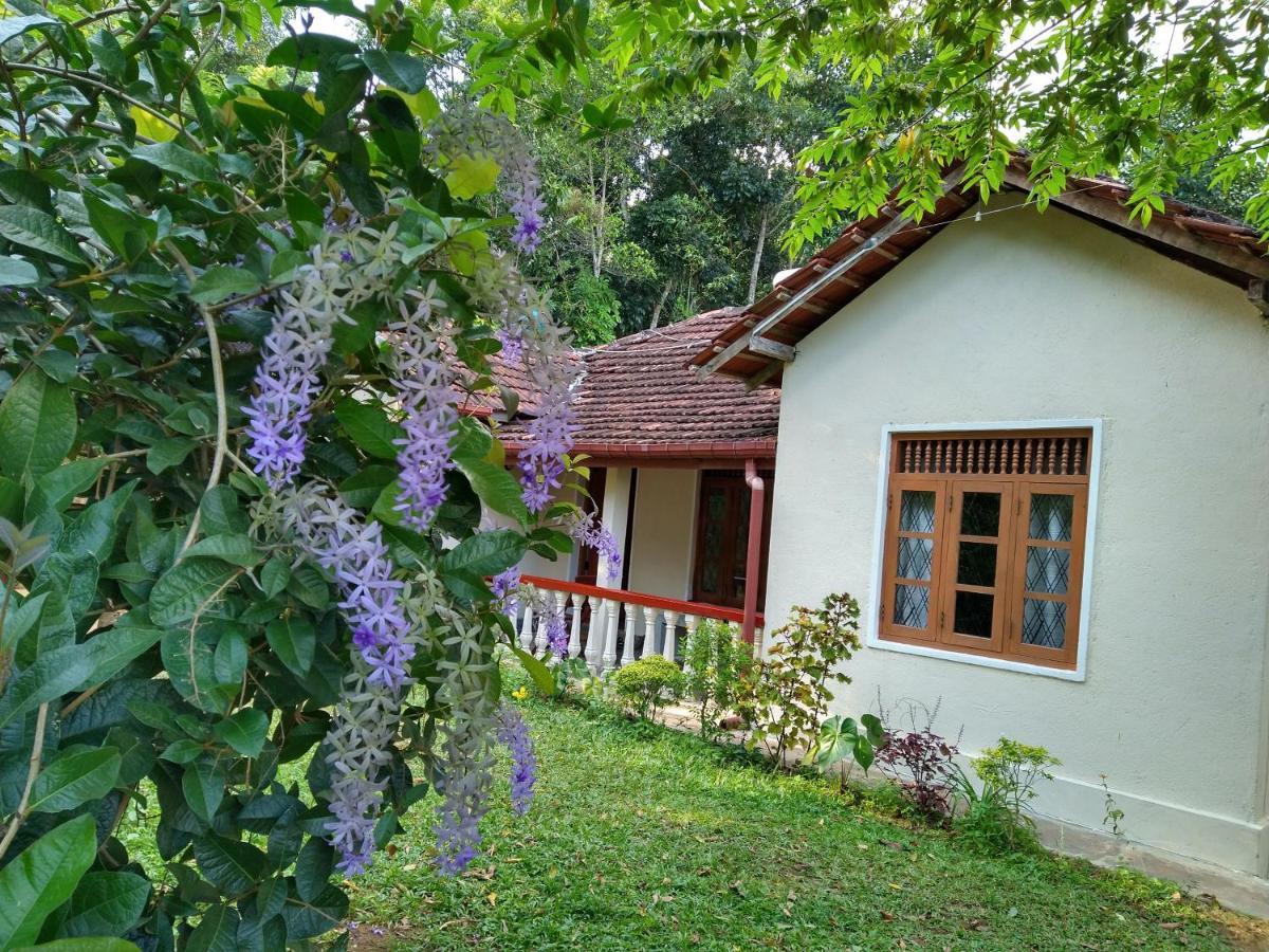 The Pepper Cottage Gomagoda Екстериор снимка