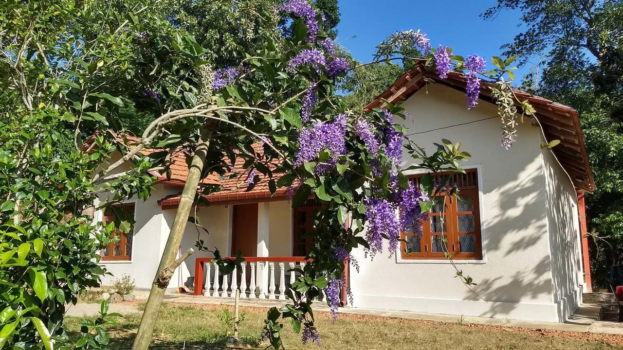 The Pepper Cottage Gomagoda Екстериор снимка